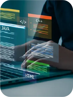Website Development e-commerce and database integration